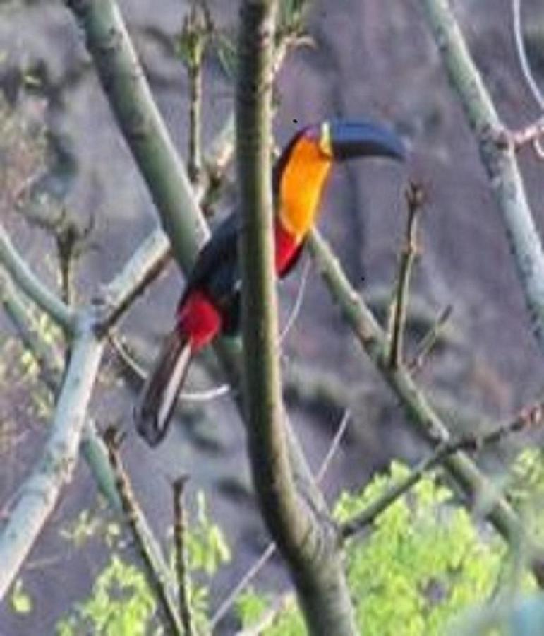 Pousada Spa Alto Da Serra Petropolis  Luaran gambar